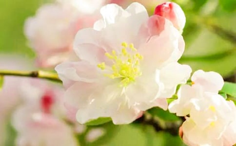 ���Ļ����^����ӛ2ƪ