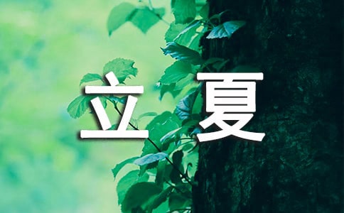 �����f�f40�侫�x