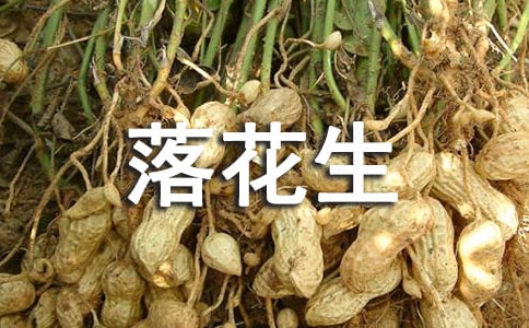 �仨���̌W���