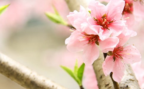 �һ����^����ӛ