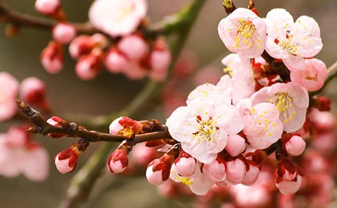 ���]���һ�������4ƪ