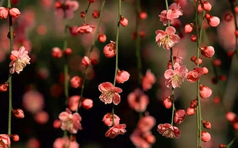 �һ�������4ƪ(��)