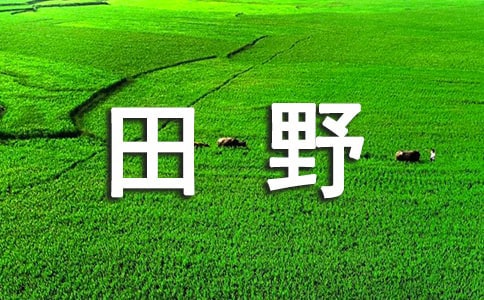 �茑��Ұ������6ƪ�����ã�