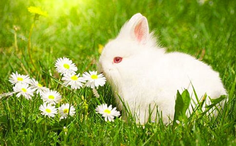 ���ӵ����� �P�����ӵ����ă���