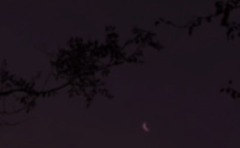 ͨ�����������Z���ŅR��74��