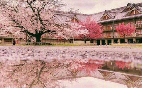 ���x���ݙѻ��ľ��ӅR��52�l