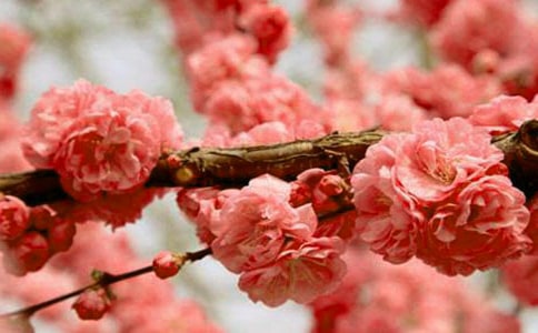 �ѻ�������10ƪ������