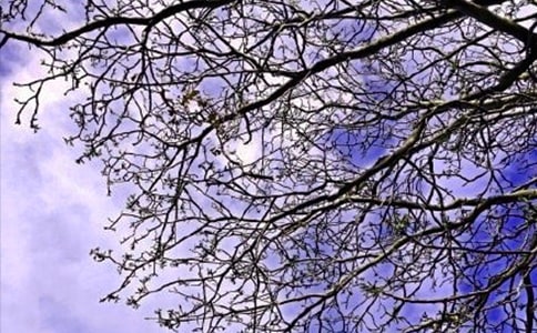2026�곣���m�����ϰl���簲΢�ņ����Z�R��38��