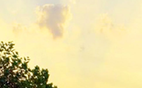 �����á���ܰ���簲����Ȧ�����Z����38��