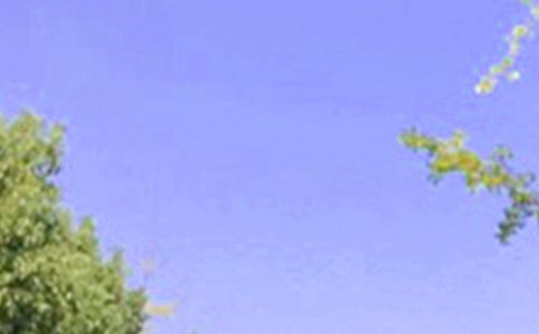 ���õ�ף��������簲QQ�����Z36��