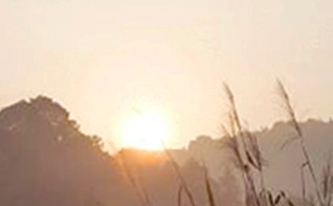 ���P�����簲�f�f�R��135�侫�x