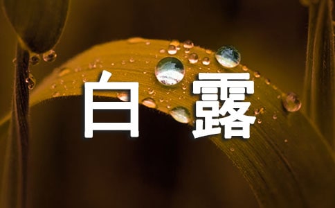 白露海報暖心文案(精選50句)