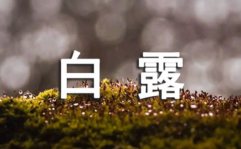 白露幼兒園節(jié)氣教案(精選7篇)