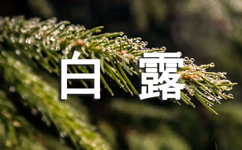 最新白露節(jié)氣朋友圈文案