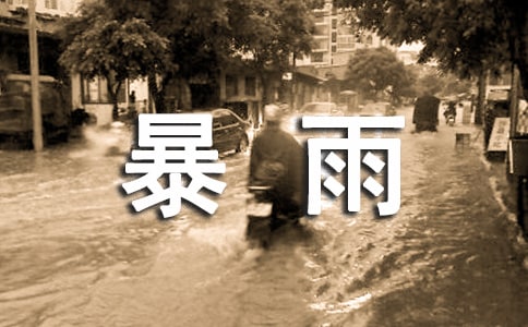 關(guān)于暴雨篩讀后感