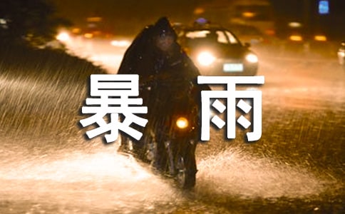 �x������Y���и�