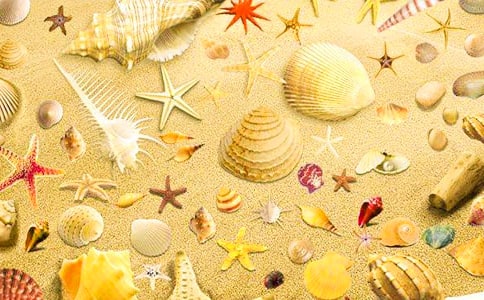 ͵ؐ������