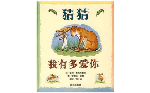 大班語言《猜猜我有多愛你》教案