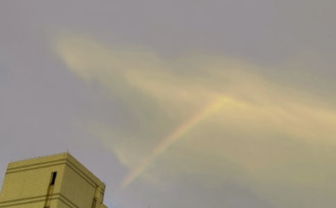 �L(f��ng)���^���ǲʺ�����