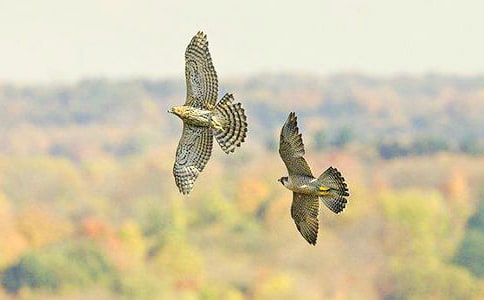 �n��������