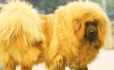 �x������ɻ꡷�из��ģ�ͨ��21ƪ��