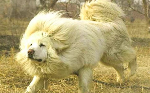 �F(xi��n)������x�������ʲô���ܮ���Ȯ���}Ŀ����