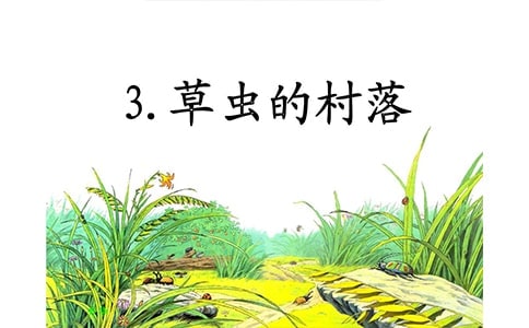 《草蟲的村落》說課稿9篇
