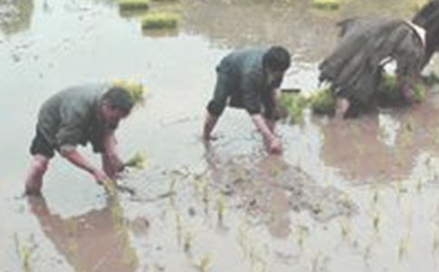 �w�(y��n)��������