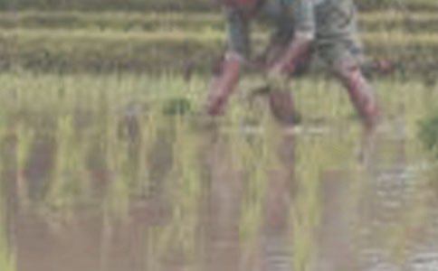 �P(gu��n)�ڲ��������ġ����x��