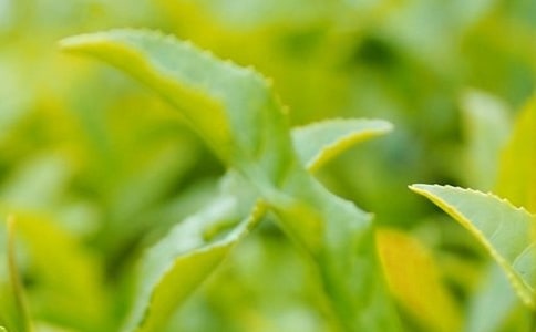 �ɲ��~����(��(y��u)�x)