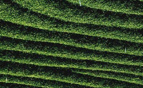 ���~������