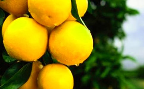 ���ӵ�����