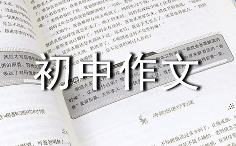 初中作文的教案