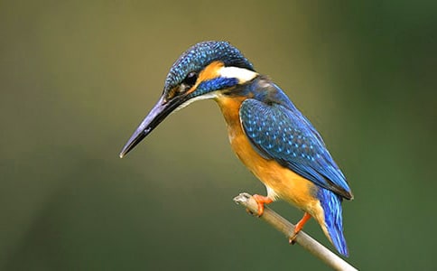 С�W�Z���σԴ��B�̰�