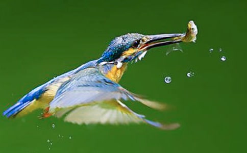 �P(gu��n)�ڴ��B(ni��o)�̰�ģ��R����ƪ