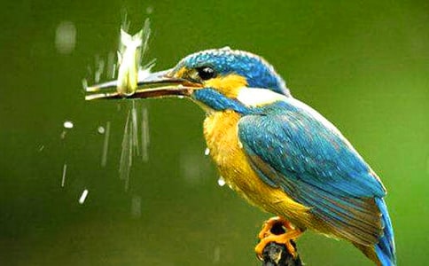 �����B����x��