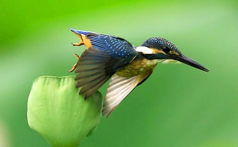 �����B���n�̽̌W(xu��)��˼