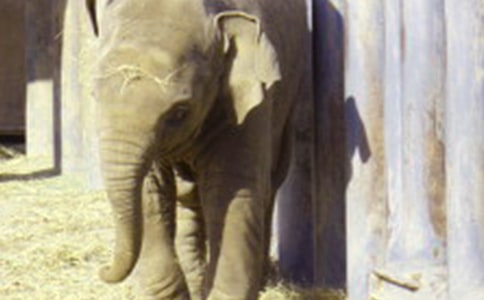 �x��������ۜI���и�