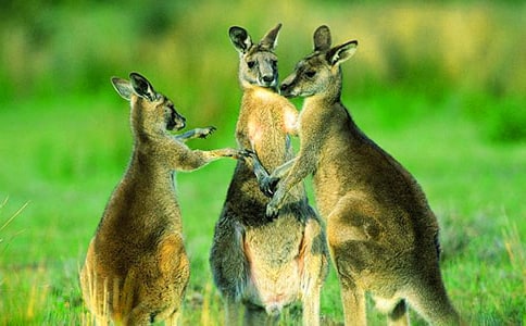 �g������������(��)