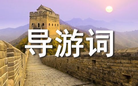 �����(zh��n)�ŸG��(d��o)���~�R��5ƪ