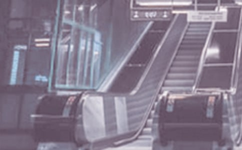 �V���_�Ŵ�W(xu��)���Ă�(g��)���Fվ