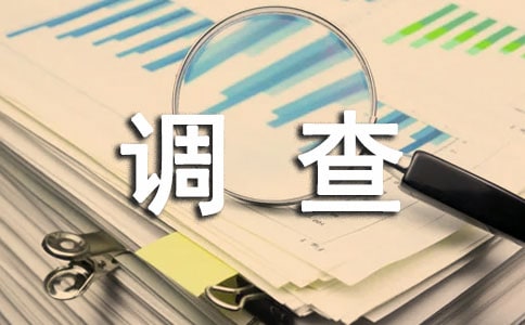 調(diào)查中的小插曲作文