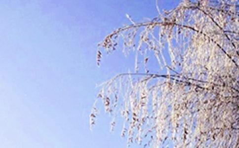 有關(guān)于描寫冬天景色的詩(shī)句