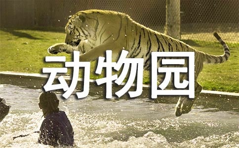 家庭動物園小學作文(通用27篇)