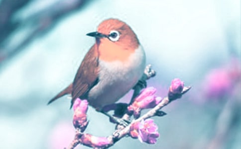 �P(gu��n)�ڡ���Ȥ�Ą�ֲ��̌W(xu��)�O(sh��)Ӌ