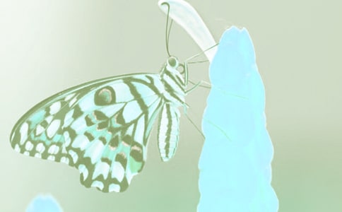 �i���Ǆ�ֲ����i�Z