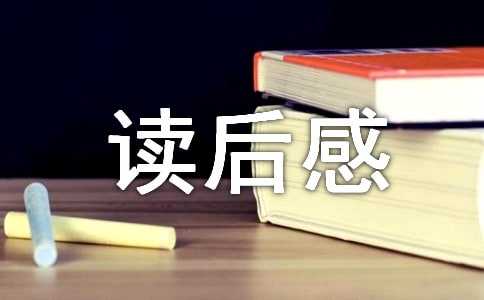 曹文軒孤獨(dú)之旅讀后感(通用5篇)