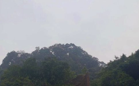 ��üɽ֮Ȥζ����