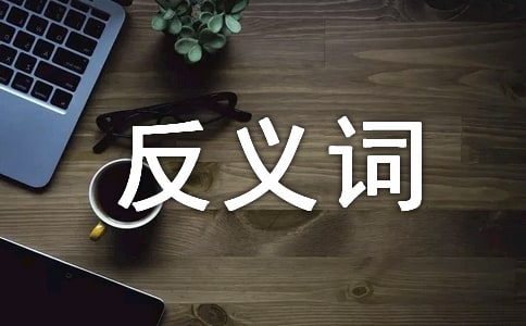 抱怨的反義詞是什么