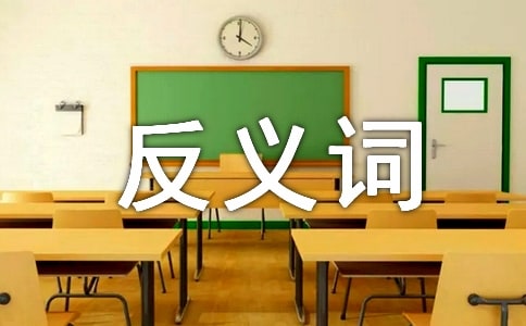 抱怨的反義詞是什么